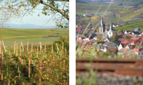 taunus guldentalblick